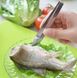 Щипцы кулинарные для удаления рыбных костей из нержавейки Пинцет кухонный для костей рыбы металлический L 12cm 18578 фото 1